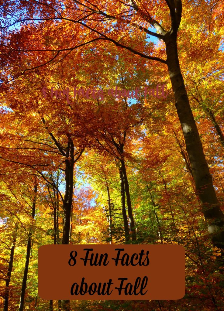 fun-facts-about-fall
