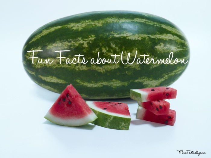 fun facts about watermelon