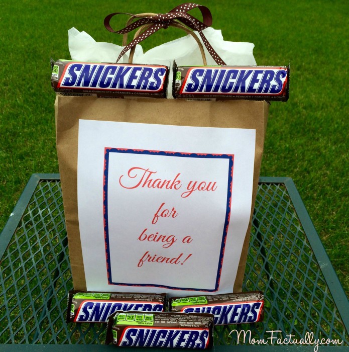Snickers snag bag