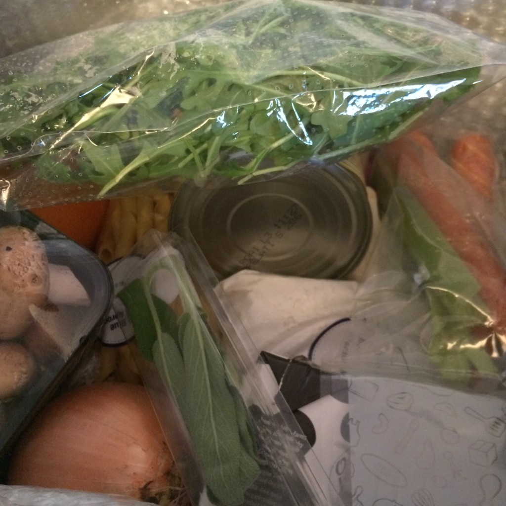 Wasteful Packaging from Blue Apron
