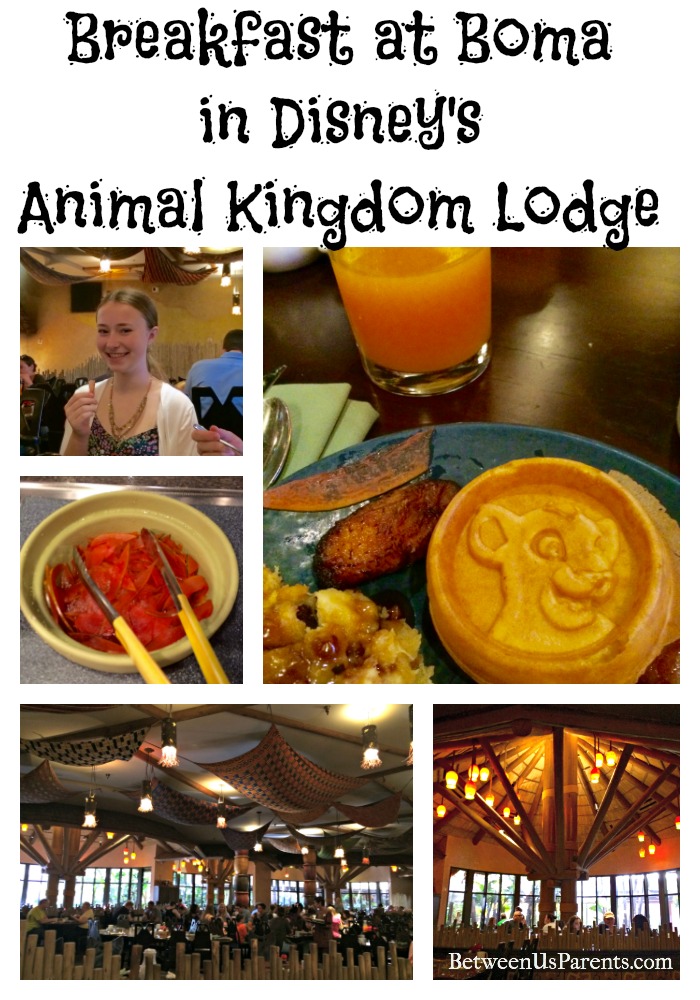 Breakfast at Boma Animal Kingdom Lodge