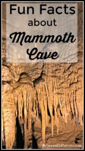 Fun Facts about Mammoth Cave