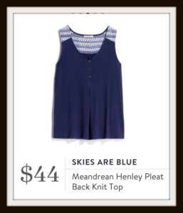 Skies are Blue Meandrean Henley Pleat Back Knit Top from Stitch Fix